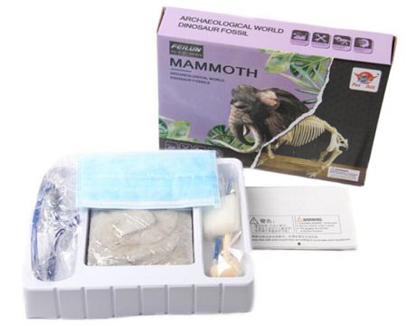 Archaeological animal fossil - mammoth (large box)