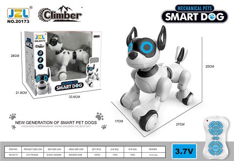 Smart dog