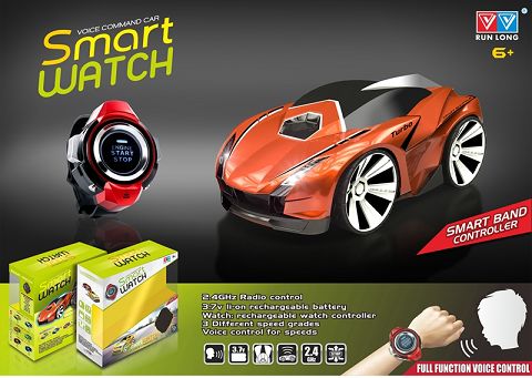 Smartwatch voice control car