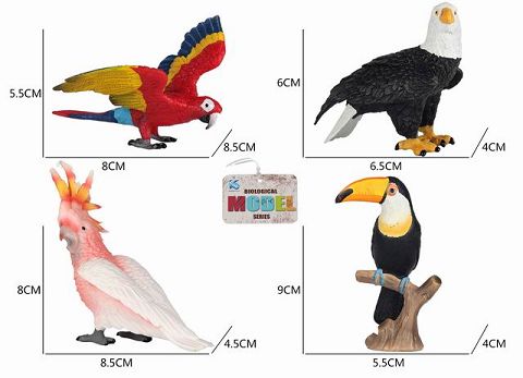 Solid animal model