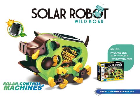 Solar porcupine