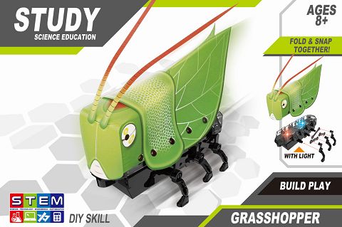 Creative power series crawling cricket