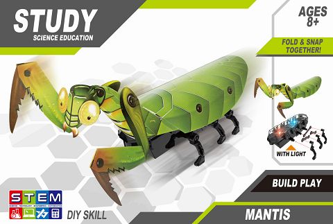 Creative power series crawling mantis