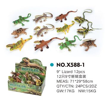 12 9-inch lizards in a box